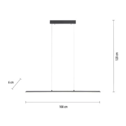 Lámpara colgante PURE LED Lite, antracita, 100 cm, CCT, atenuable