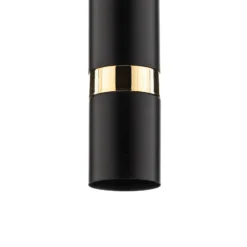 Lámpara colgante Rondo negro/dorado, 1 luz