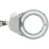 Lámpara con lupa LED MAULviso, blanca, altura 50 cm, pinza