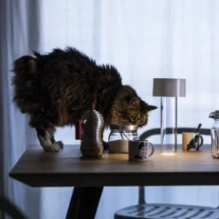 Lámpara de mesa LED Fleur de Foscarini, blanca