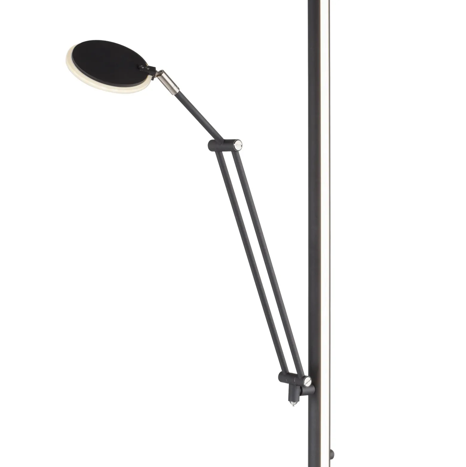 Lámpara de pie LED PURE Mutil, grafito, lámpara de lectura, CCT