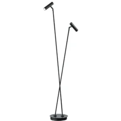 Lámpara de pie LED Tom, 2 luces, negro