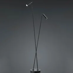 Lámpara de pie LED Tom, 2 luces, negro