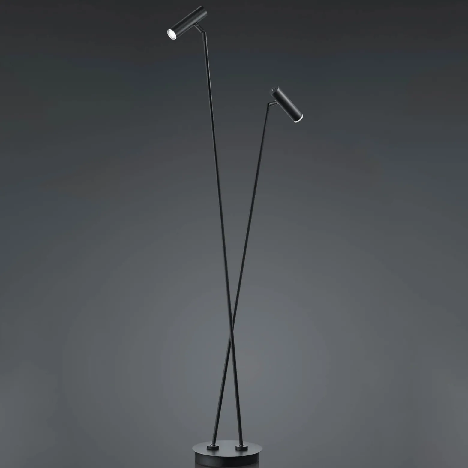 Lámpara de pie LED Tom, 2 luces, negro