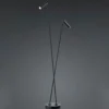 Lámpara de pie LED Tom, 2 luces, negro