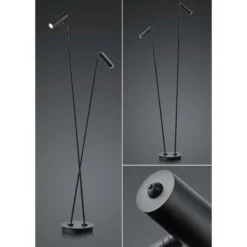 Lámpara de pie LED Tom, 2 luces, negro