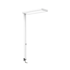 Lámpara de pinza LED MAULjura, blanca, de aluminio, atenuable, 100 cm
