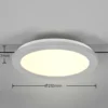 Lámpara de riel LED Camillus para DUOline, titanio, Ø 26 cm