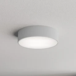 Lámpara de techo Cleo 300, gris, sensor, IP54, Ø 30 cm, metal