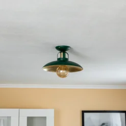 Lámpara de techo Felix, verde/dorado