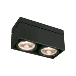 Lámpara de techo Kardamod, negra, acero, longitud 31,5 cm, 2 luces.