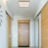 Lámpara de techo LED Doro, longitud 30 cm, madera oscura, madera