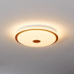 Lámpara de techo LED Lanciano 1 con control remoto Ø38cm