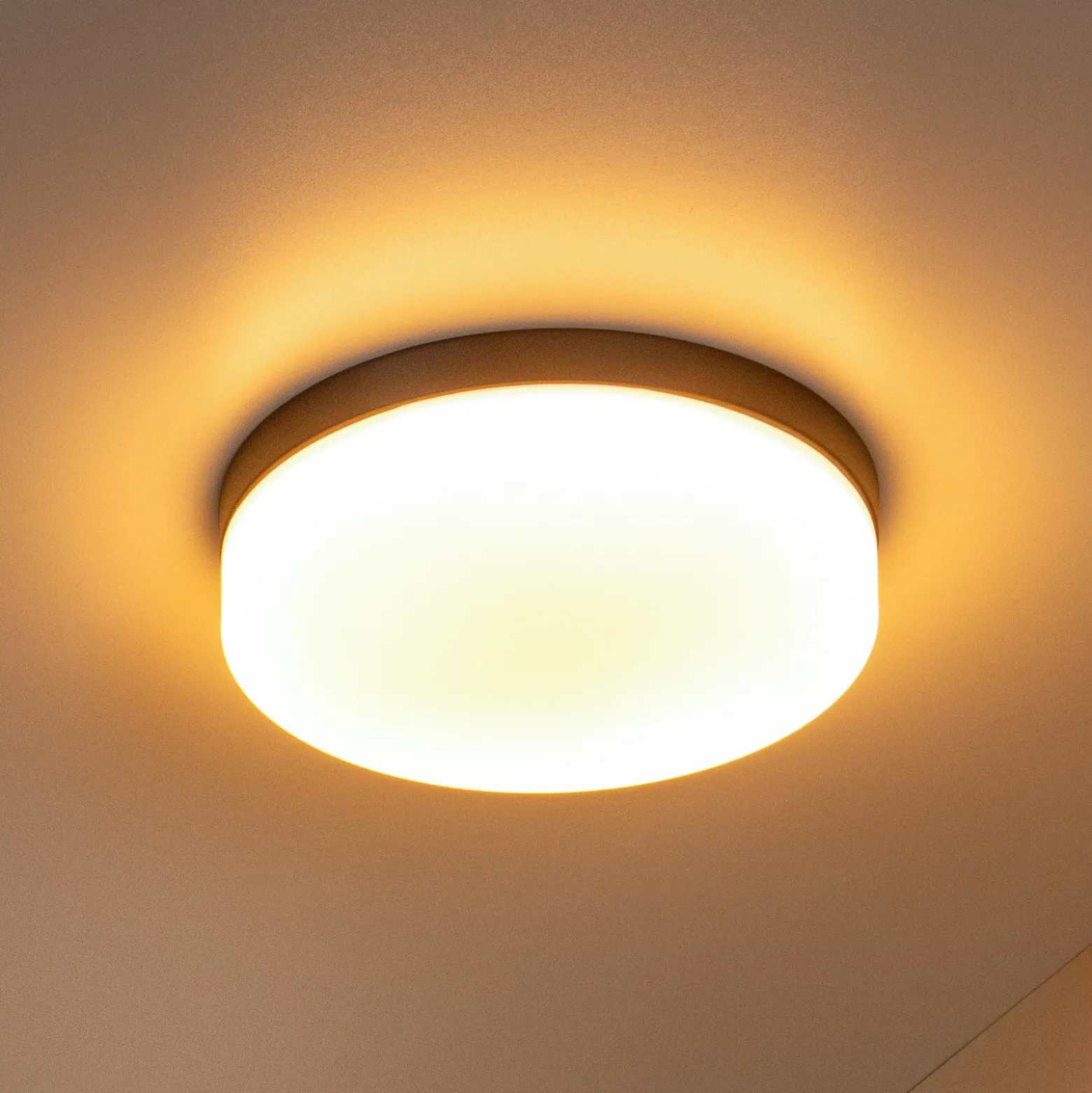 lámpara de techo LED para baño Biskit, negro, Ø 23 cm, plástico