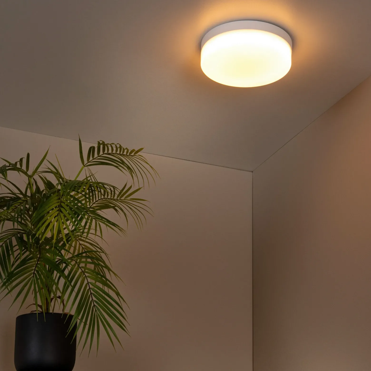 lámpara de techo LED para baño Biskit, blanca, Ø 23 cm, plástico
