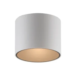 Lámpara de techo LED para baño PURE Point, blanca, Ø 11 cm, metal, IP44