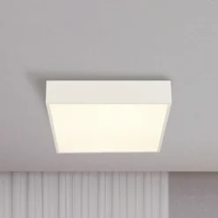 Lámpara de techo LED para baño Zeus, blanca, longitud 30 cm, metal