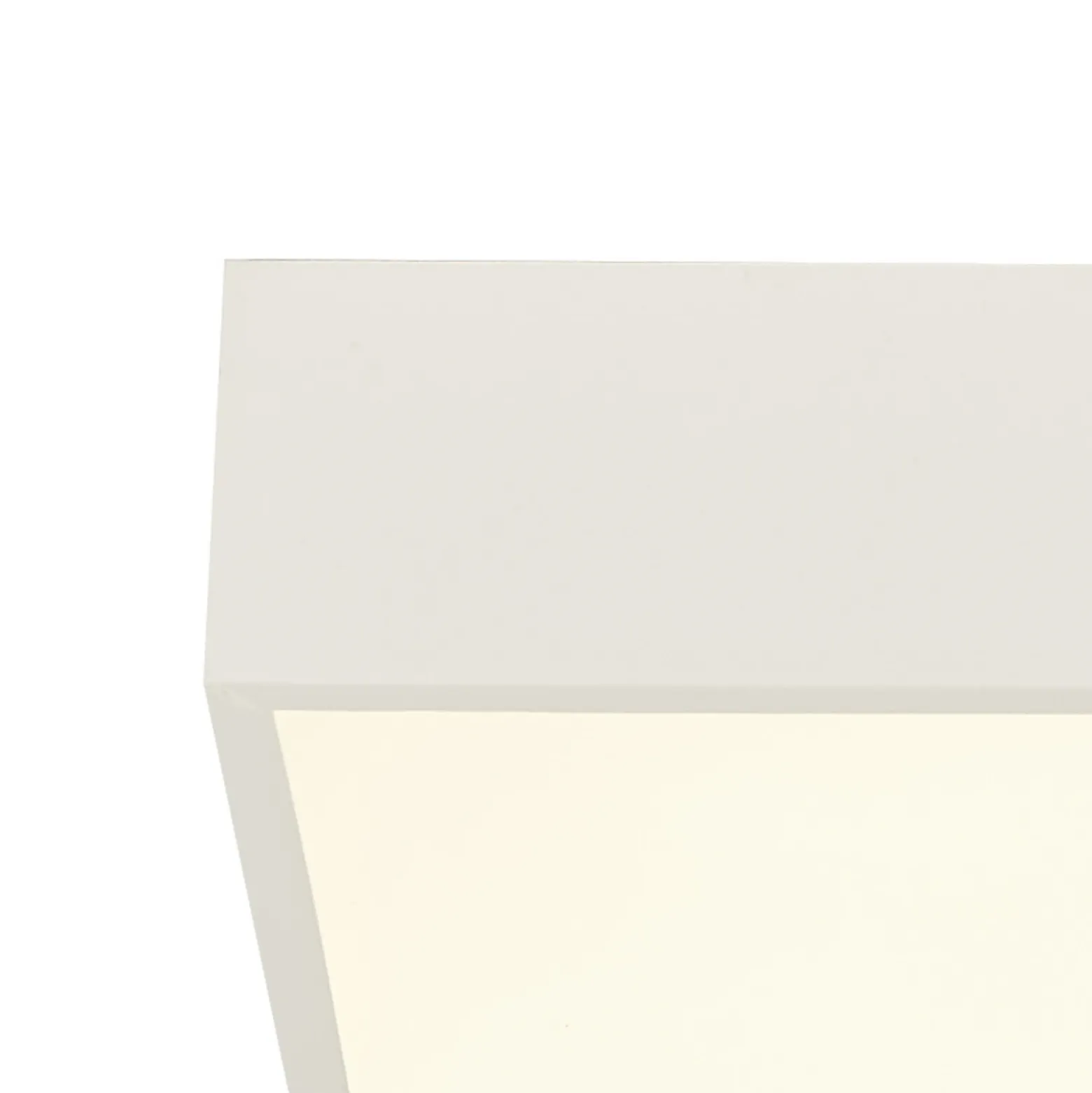Lámpara de techo LED para baño Zeus, blanca, longitud 30 cm, metal