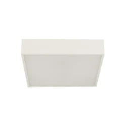Lámpara de techo LED para baño Zeus, blanca, longitud 30 cm, metal