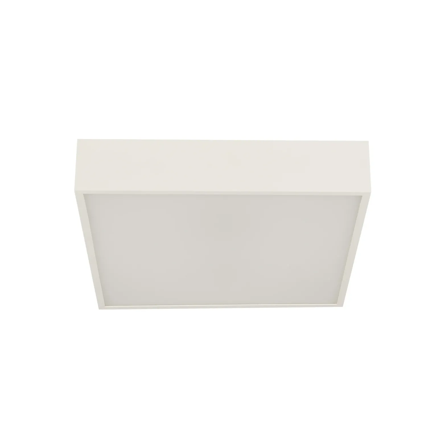 Lámpara de techo LED para baño Zeus, blanca, longitud 30 cm, metal