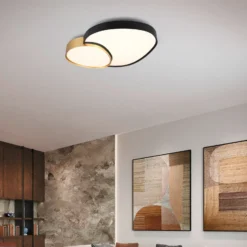 Lámpara de techo LED Rise, negro-oro, 77 x 63 cm, CCT, atenuable