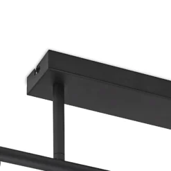 Lámpara de techo Lindby Biscala, 5 luces, negro/humo, E14