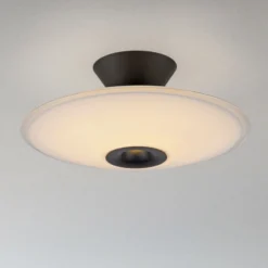 Lámpara LED de techo Elipsa de Paul Neuhaus, blanco/negro, Ø 35 cm