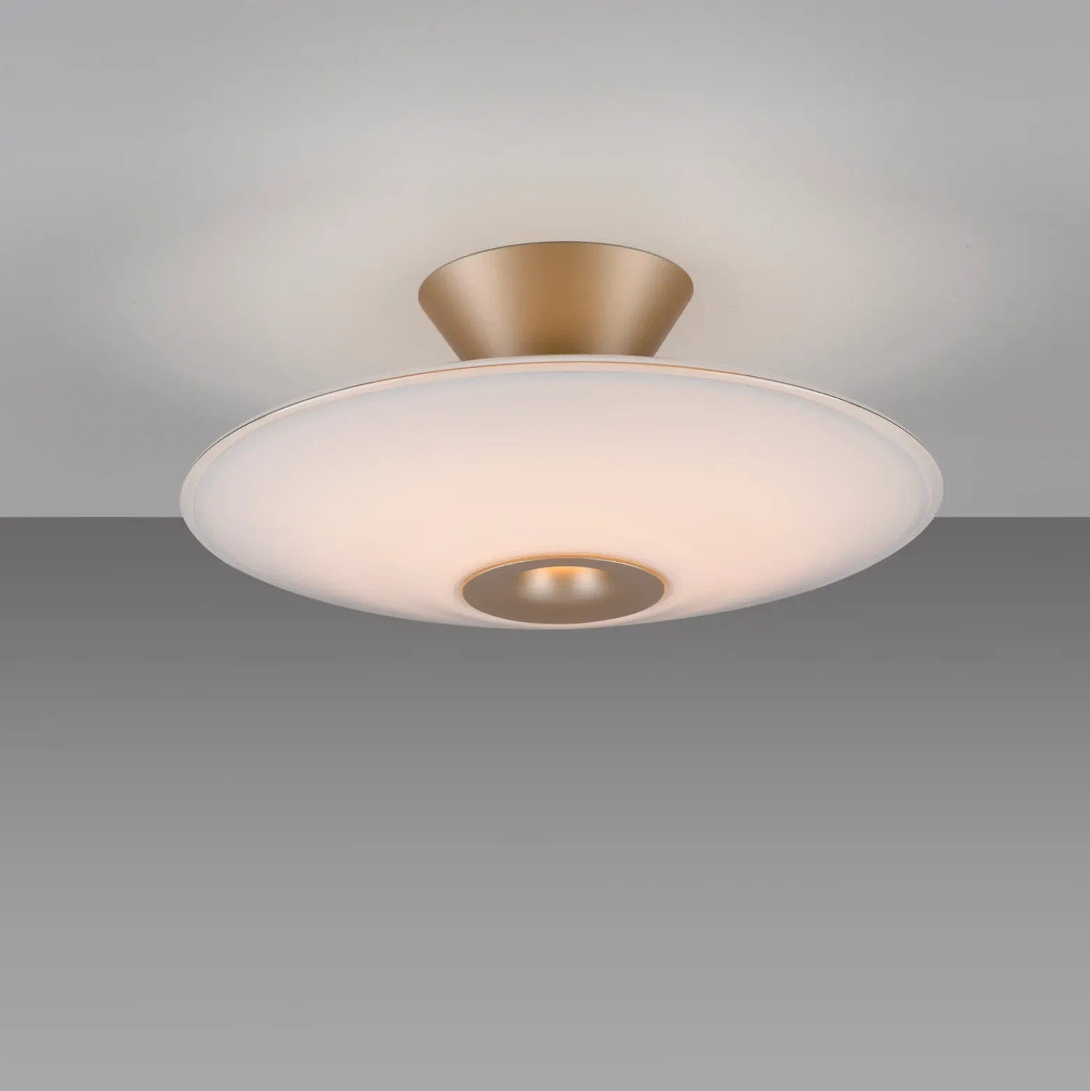 Lámpara LED de techo Elipsa de Paul Neuhaus, blanco/bronce, Ø 35 cm
