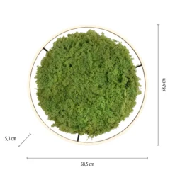 Lámpara LED de techo Green Ritus, musgo atenuable Ø58,5cm