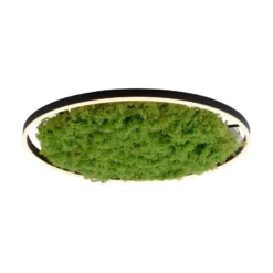 Lámpara LED de techo Green Ritus, musgo atenuable Ø58,5cm