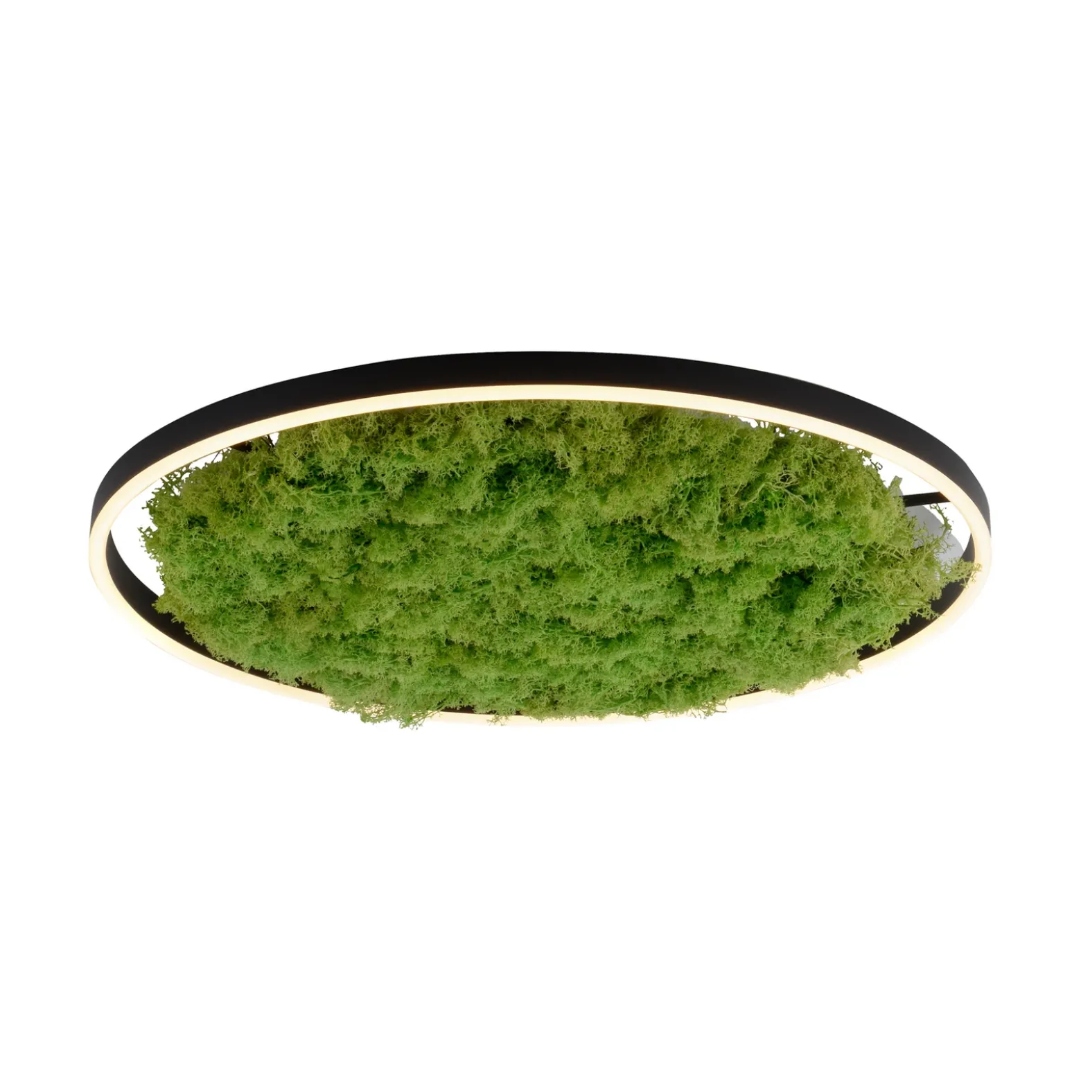 Lámpara LED de techo Green Ritus, musgo atenuable Ø58,5cm