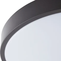 Lámpara LED de techo Lindby Smart Innes negro 38 cm RGB CCT Tuya