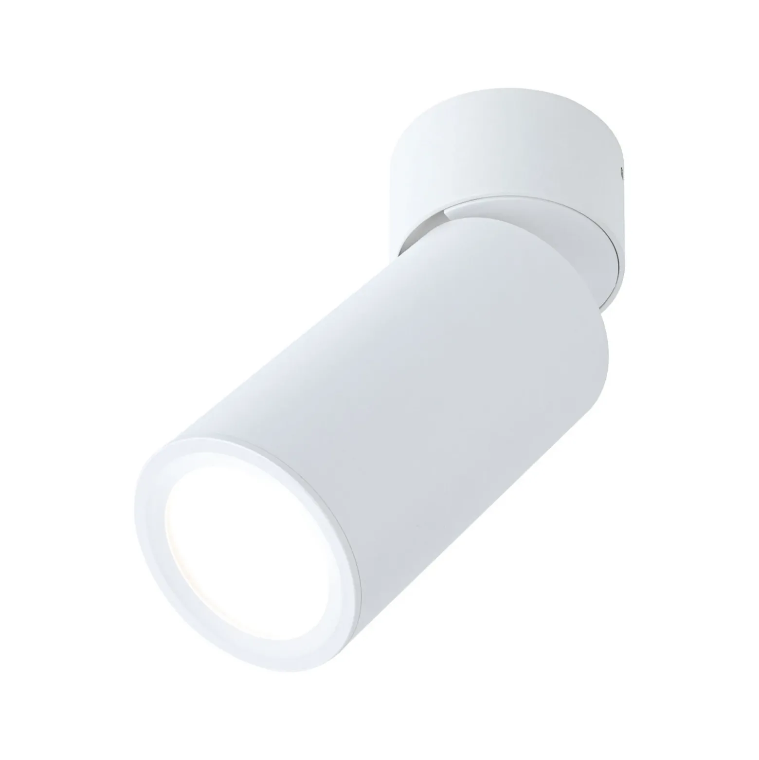 Lámpara LED de techo Paulmann Turnal Coin, blanca, metal, 2700 K
