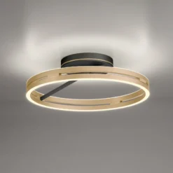 Lámpara LED de techo PURE Loop latón/negro metal Ø 60 cm CCT