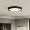 Paulmann Abia panel LED Ø 30cm 2.700K negro mate