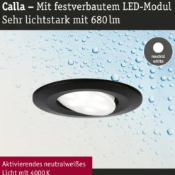 Paulmann Calla negro, con interruptor de encendido/apagado, orientable, 4000 K,