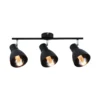 Paulmann Davy plafón, negro, 3 luces