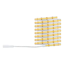 Paulmann Juego de tiras SimpLED COB 3.000 K 3 m