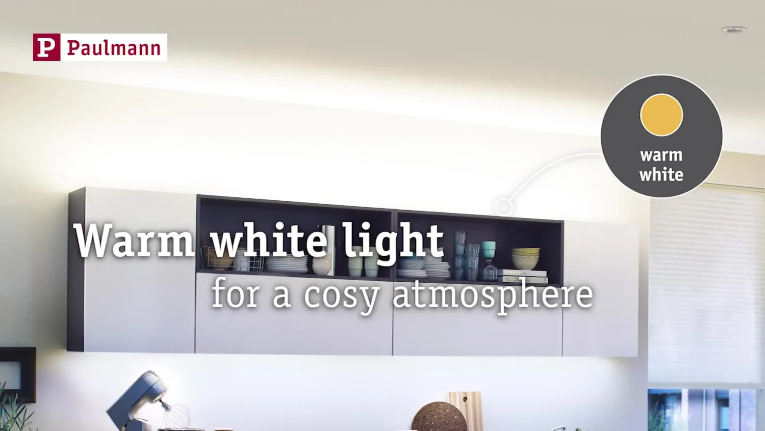 Paulmann MaxLED 500 basic IP20 blanco cálido 10m