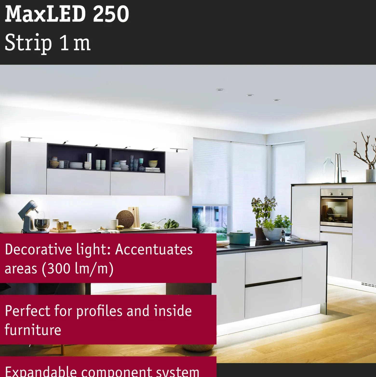 Paulmann MaxLED 250 tira IP44 luz diurna 1m