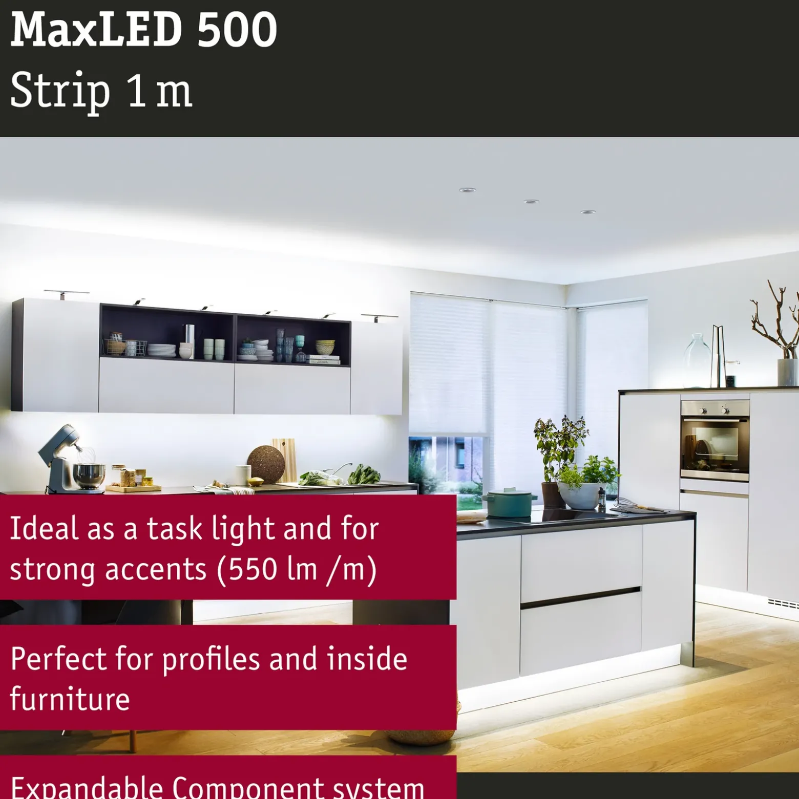 Paulmann MaxLED 500 tira IP20 luz diurna 1m