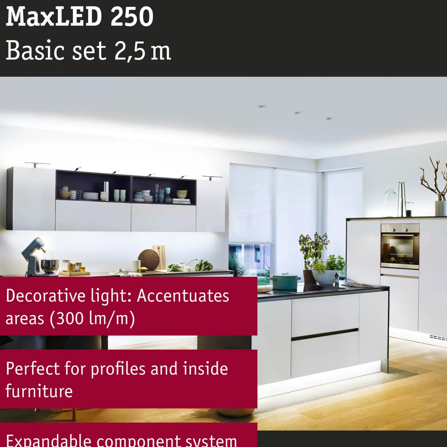 Paulmann MaxLED 250 tira IP20 luz diurna 2,5m