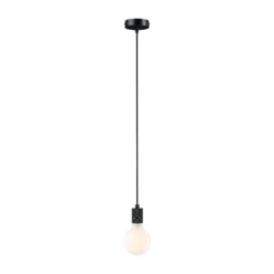 Paulmann Neordic Tilla lámpara colgante negro