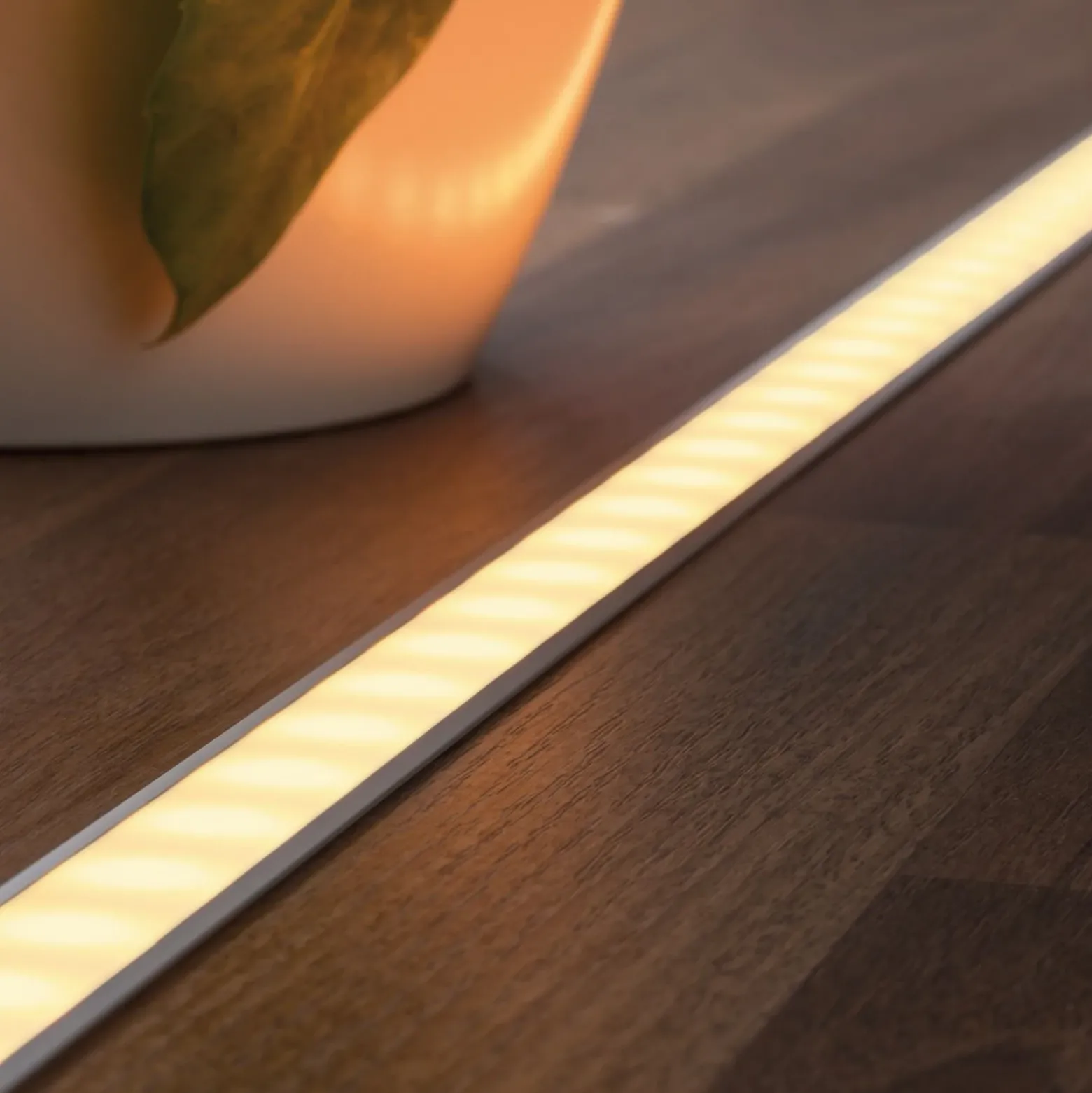 Paulmann Perfil empotrable FLOOR para tiras LED 2m