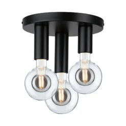 Paulmann Skogen lámpara de techo negro 3 luces