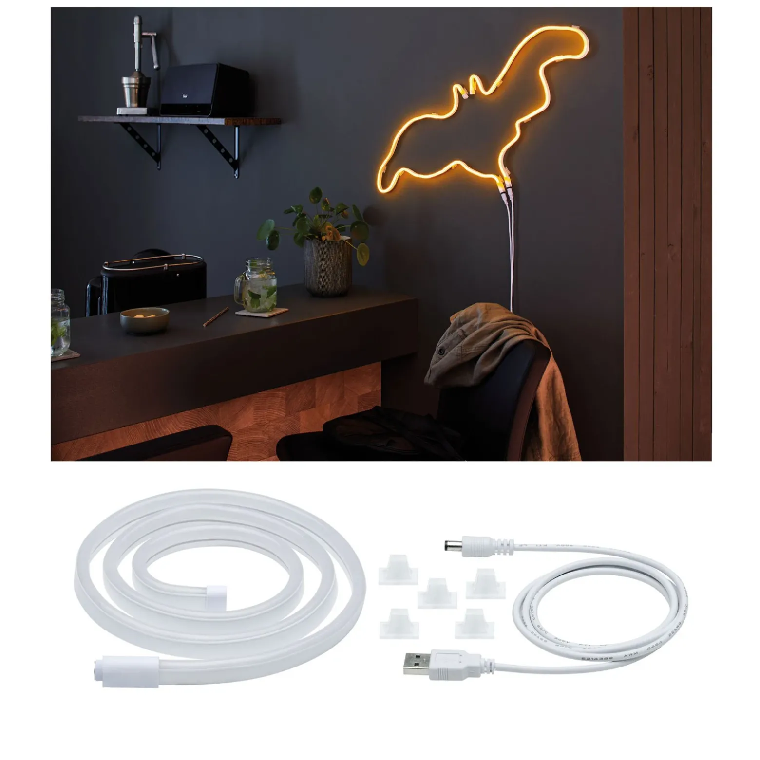 Paulmann tira LED Neon Colorflex USB 1 m naranja