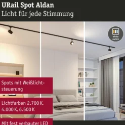 Paulmann URail Aldan foco LED, negro mate, metal, CCT