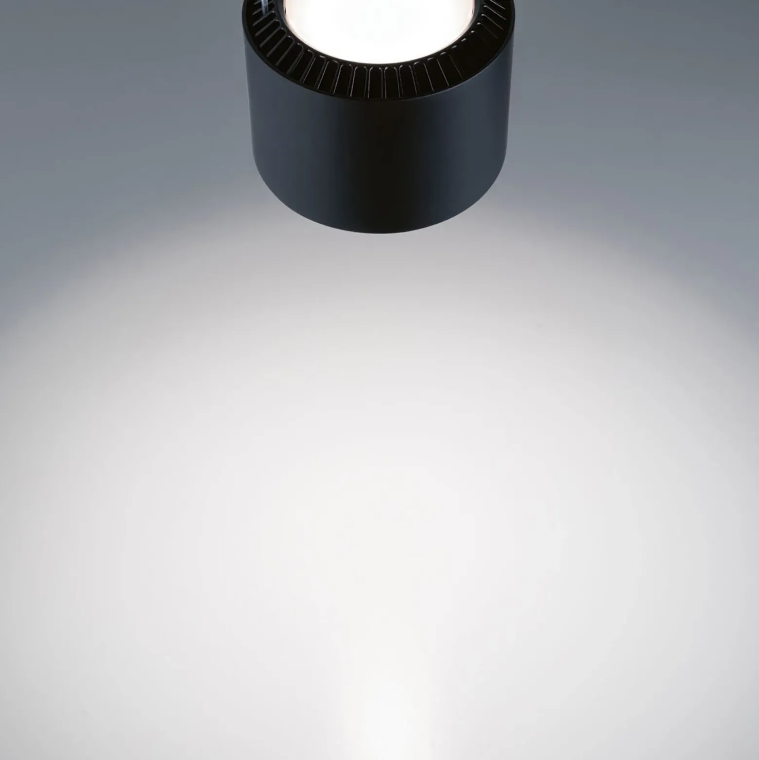 Paulmann URail Aldan LED colgante 4.000K negro