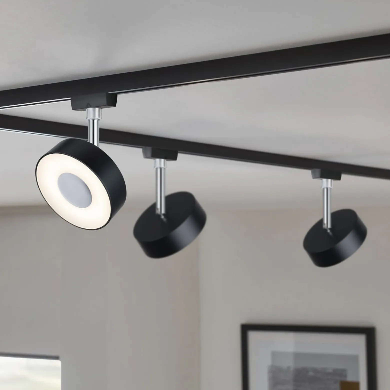 Paulmann URail foco Circle negro atenuable 4.000 K