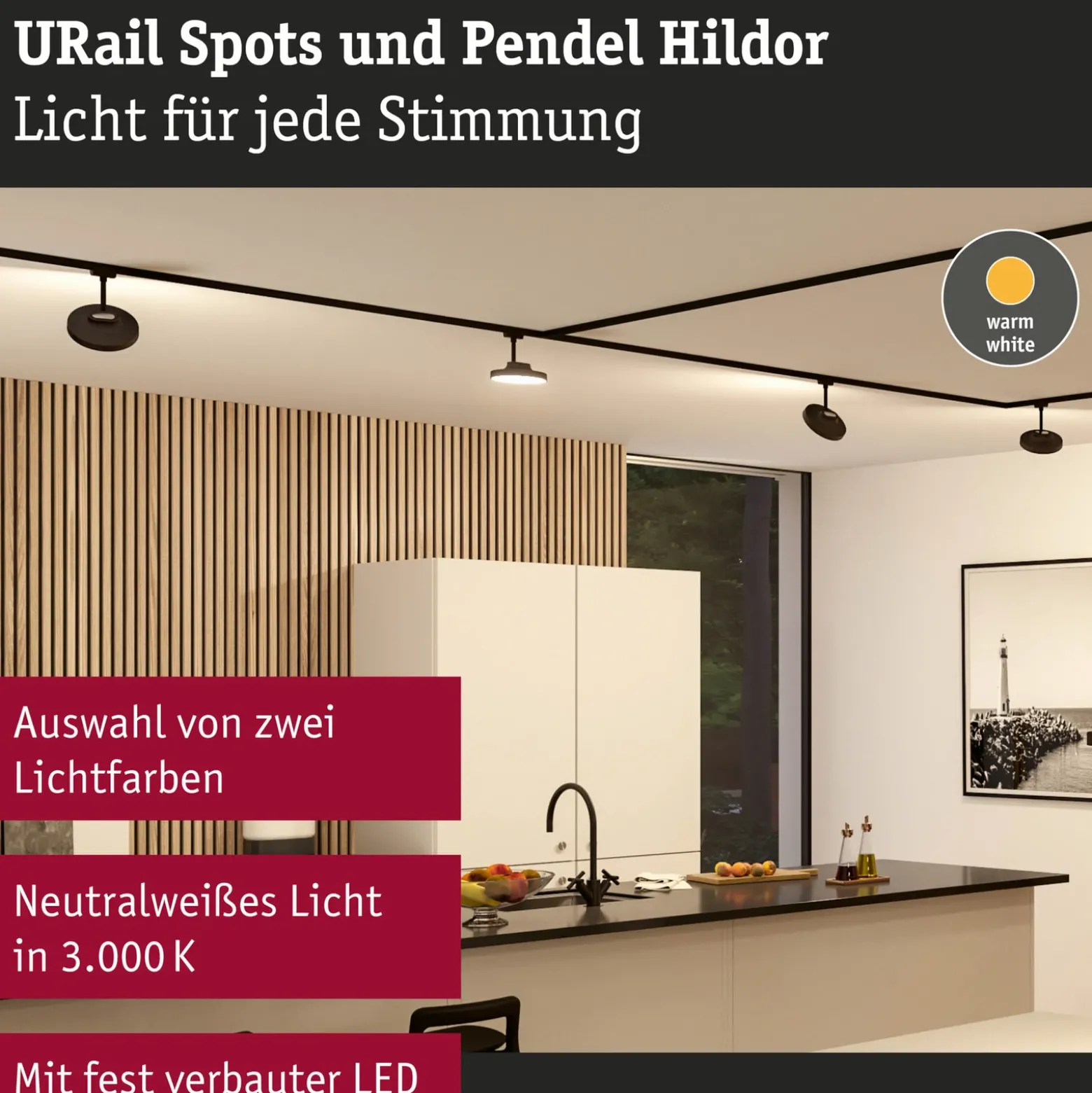 Paulmann URail Hildor foco LED negro 3.000K